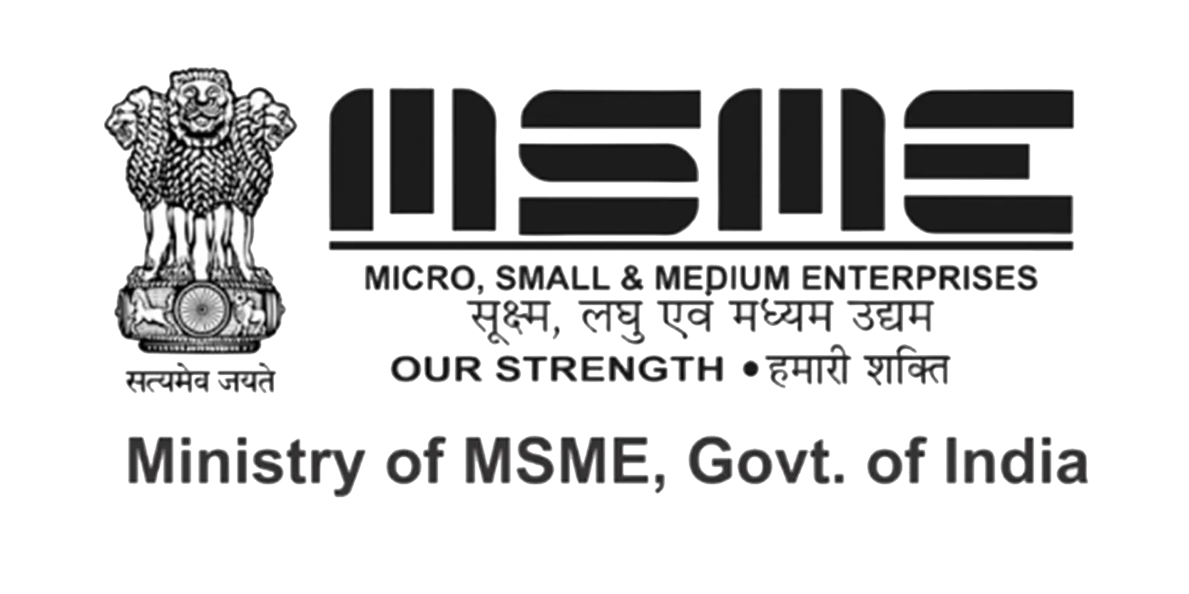 Enzo Thermal Drone at MSME